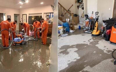 What Does Servpro Do for Water Damage? A Comparison of Restoration Services